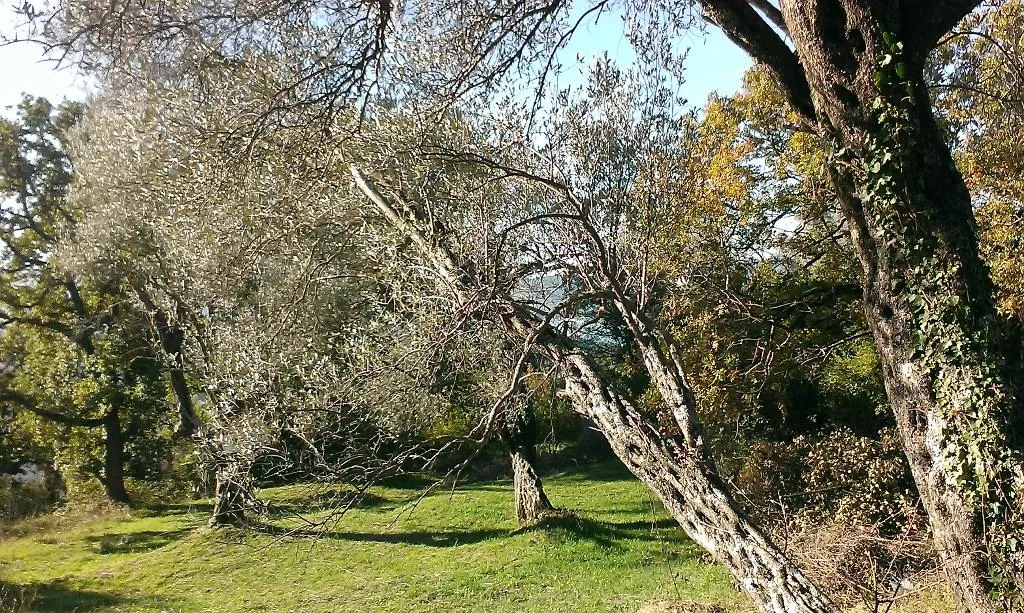 Land for Sale in Tivat - foto 2