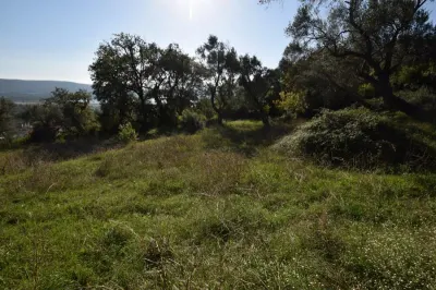Land for Sale in Tivat - foto 3