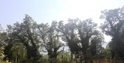 Land for Sale in Budva - foto 13