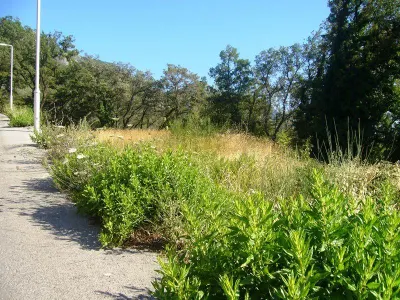 Land for Sale in Budva - foto 6