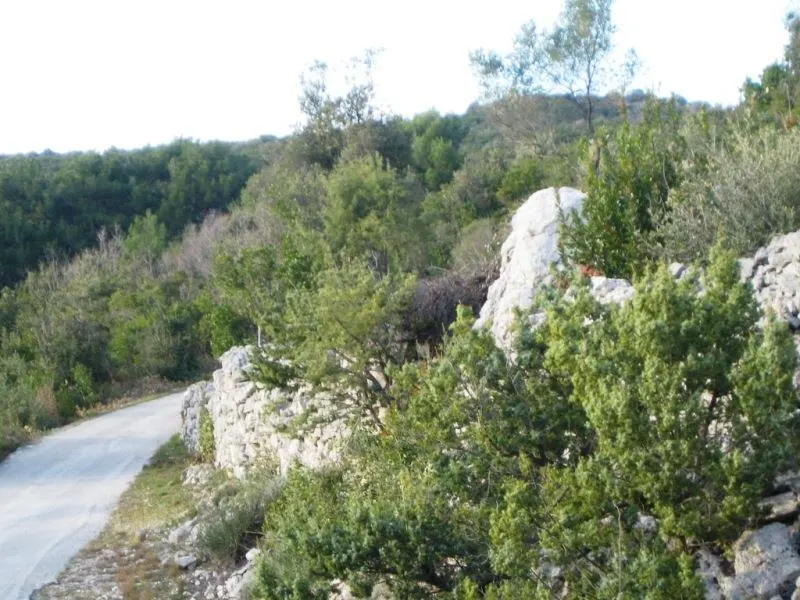 Land for Sale in Kotor - foto 4