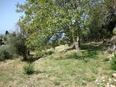 Land for Sale in Budva - foto 4