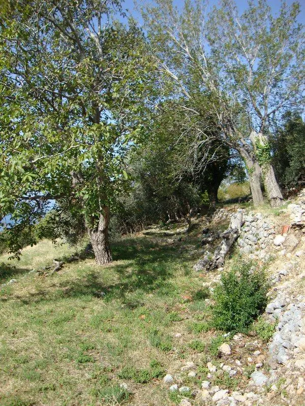 Land for Sale in Budva - foto 5
