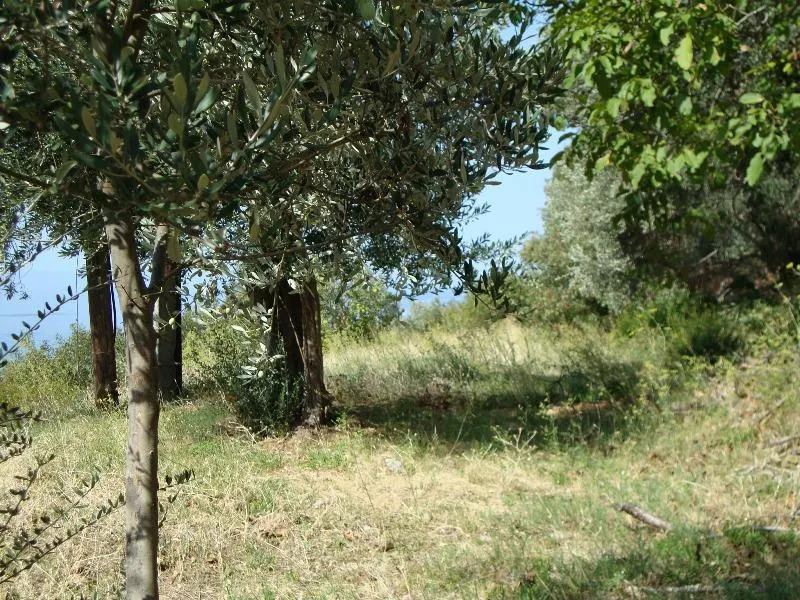 Land for Sale in Budva - foto 6