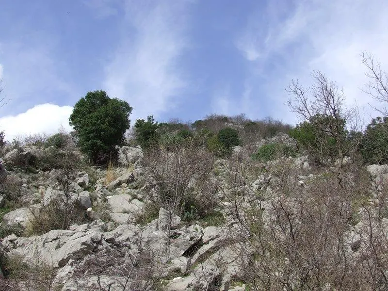Land for Sale in Kotor - foto 3