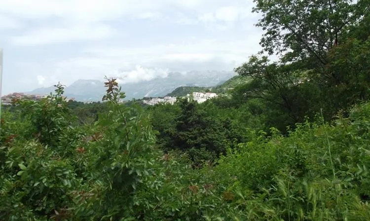 Land for Sale in Budva - foto 4
