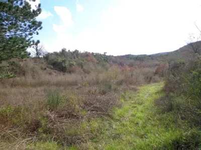 Land for Sale in Kotor - foto 4