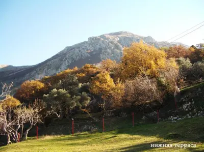 Land for Sale in Bar - foto 2