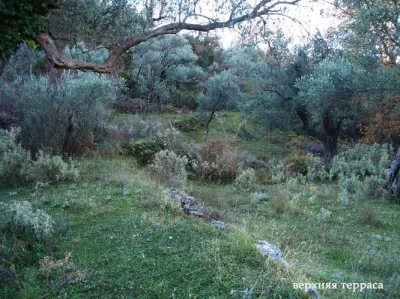 Land for Sale in Bar - foto 3