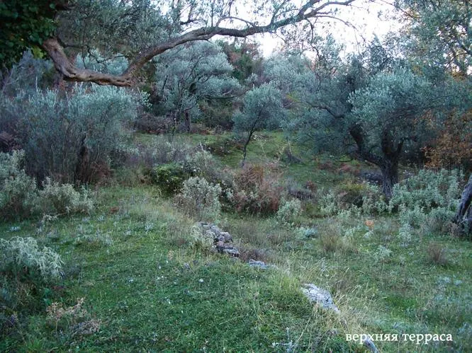 Land for Sale in Bar - foto 3