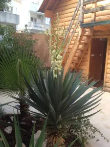 Hotel for Sale in Budva - foto 9