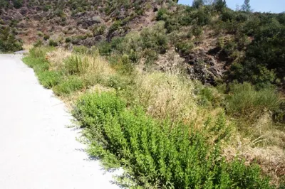 Land for Sale in Budva - foto 4