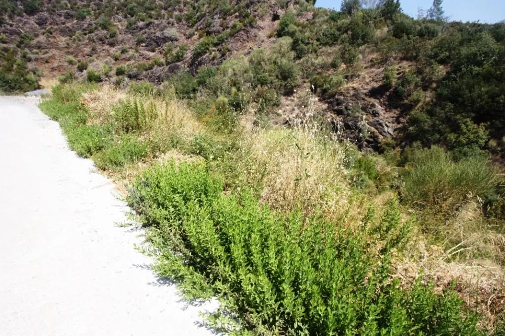 Land for Sale in Budva - foto 4