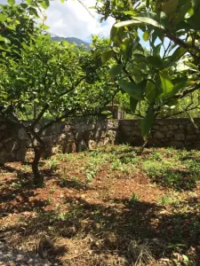 Land for Sale in Bar - Dobre Vode