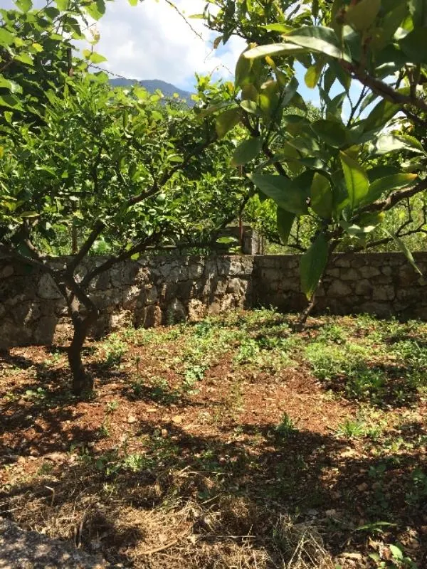 Land for Sale in Bar - foto 1