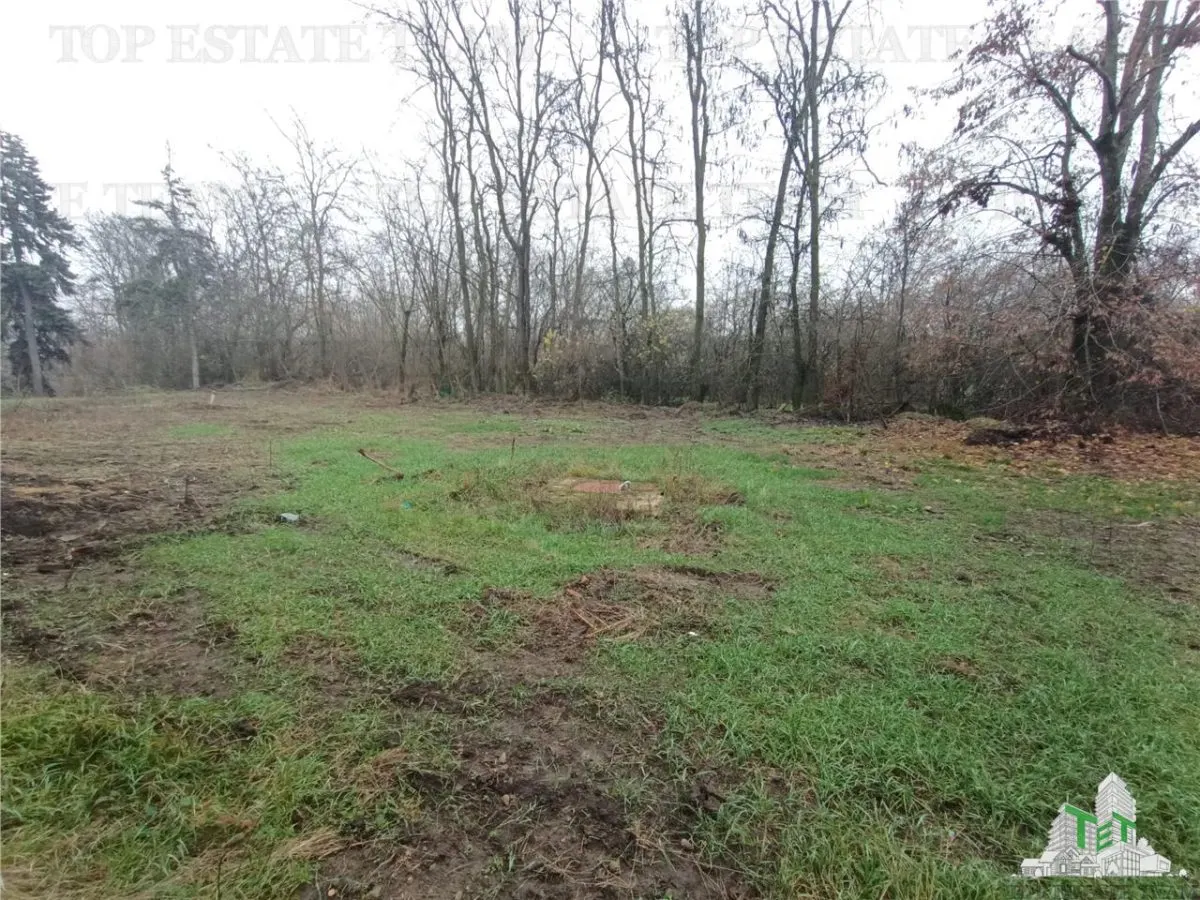 House / villa for sale 2100 sqm in ILFOV County - foto 23