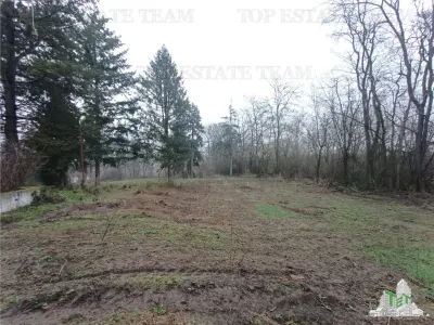 House / villa for sale 2100 sqm in ILFOV County - foto 25