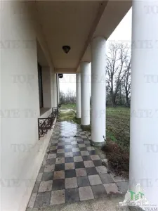 House / villa for sale 2100 sqm in ILFOV County - foto 4
