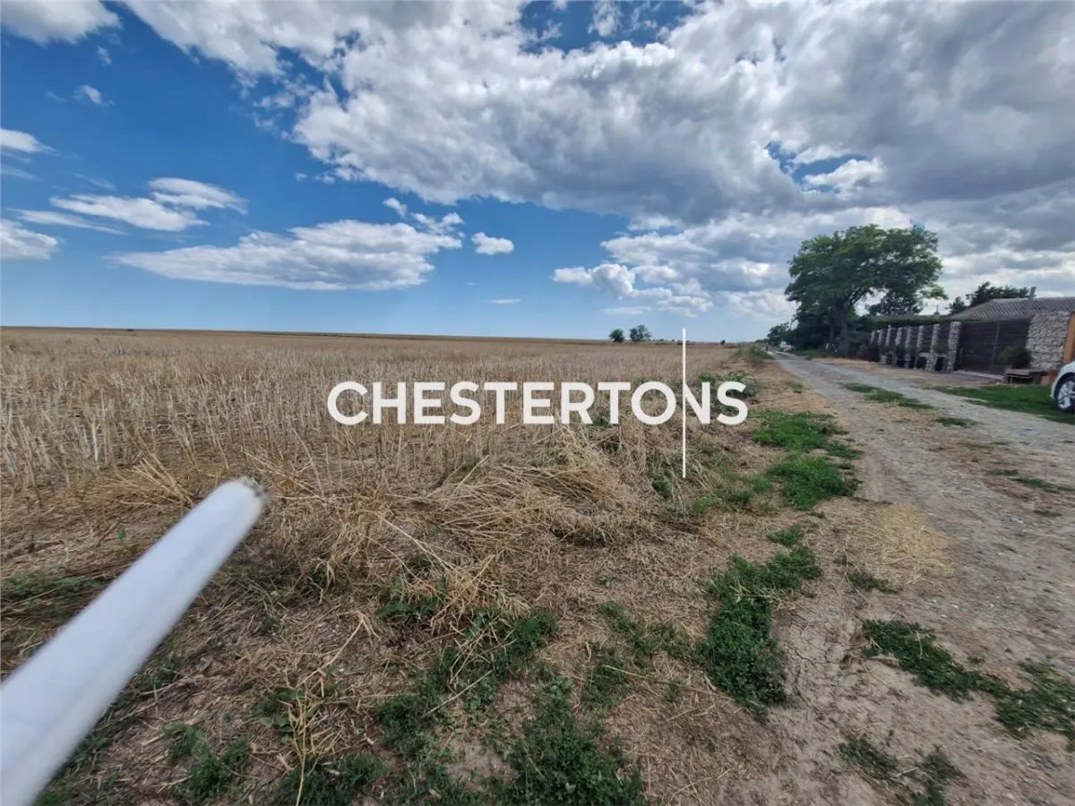 Land for sale 5000 sqm in Corbu - foto 4