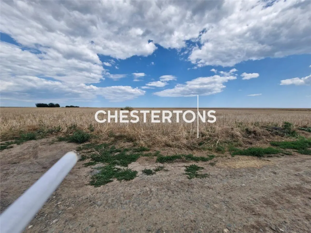 Land for sale 5000 sqm in Corbu - foto 7