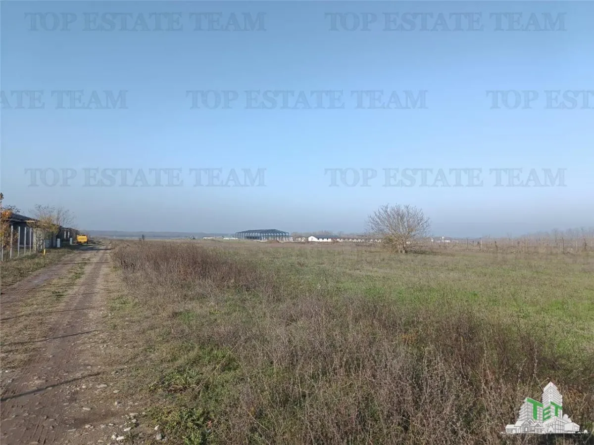 Teren intravilan la DJ 101, in Gruiu, aproape de manastirea Caldarusani, ideal pt dezvoltatori imobiliari pt imobile cu regim de inaltime de S+P+2E! - foto 6