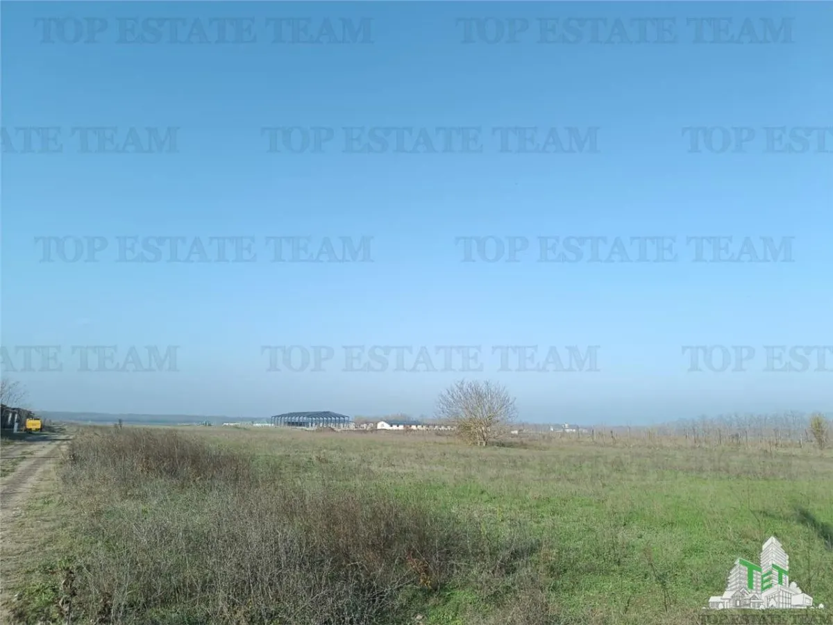 Teren intravilan la DJ 101, in Gruiu, aproape de manastirea Caldarusani, ideal pt dezvoltatori imobiliari pt imobile cu regim de inaltime de S+P+2E! - foto 8