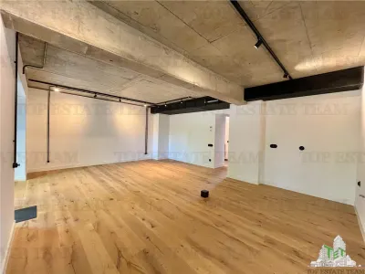 Two-Bedroom Loft-Style Apartment with Private Garden - Bucuresti