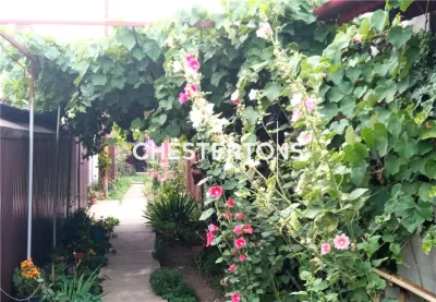 House for Sale in Fundeni, Dobroesti - foto 11