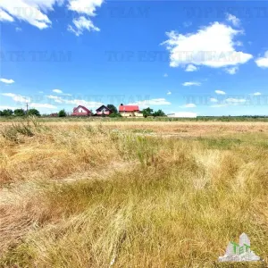 Venta Terreno Peris Ilfov | 500 sqm para Construcción | Financiación Disponible - foto 2