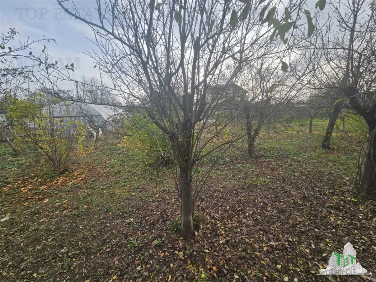 Land for sale 458 sqm in Teghes - foto 3