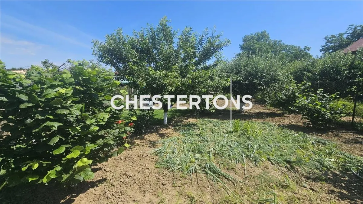 6-Bedroom Villa with Exceptional Orchard, 30km from Bucharest - foto 13