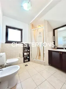 House / villa for rent 365 sqm in Otopeni, Odai area - foto 22