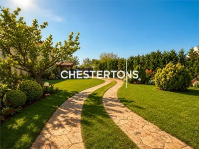 House / villa for rent 365 sqm in Otopeni, Odai area - foto 5