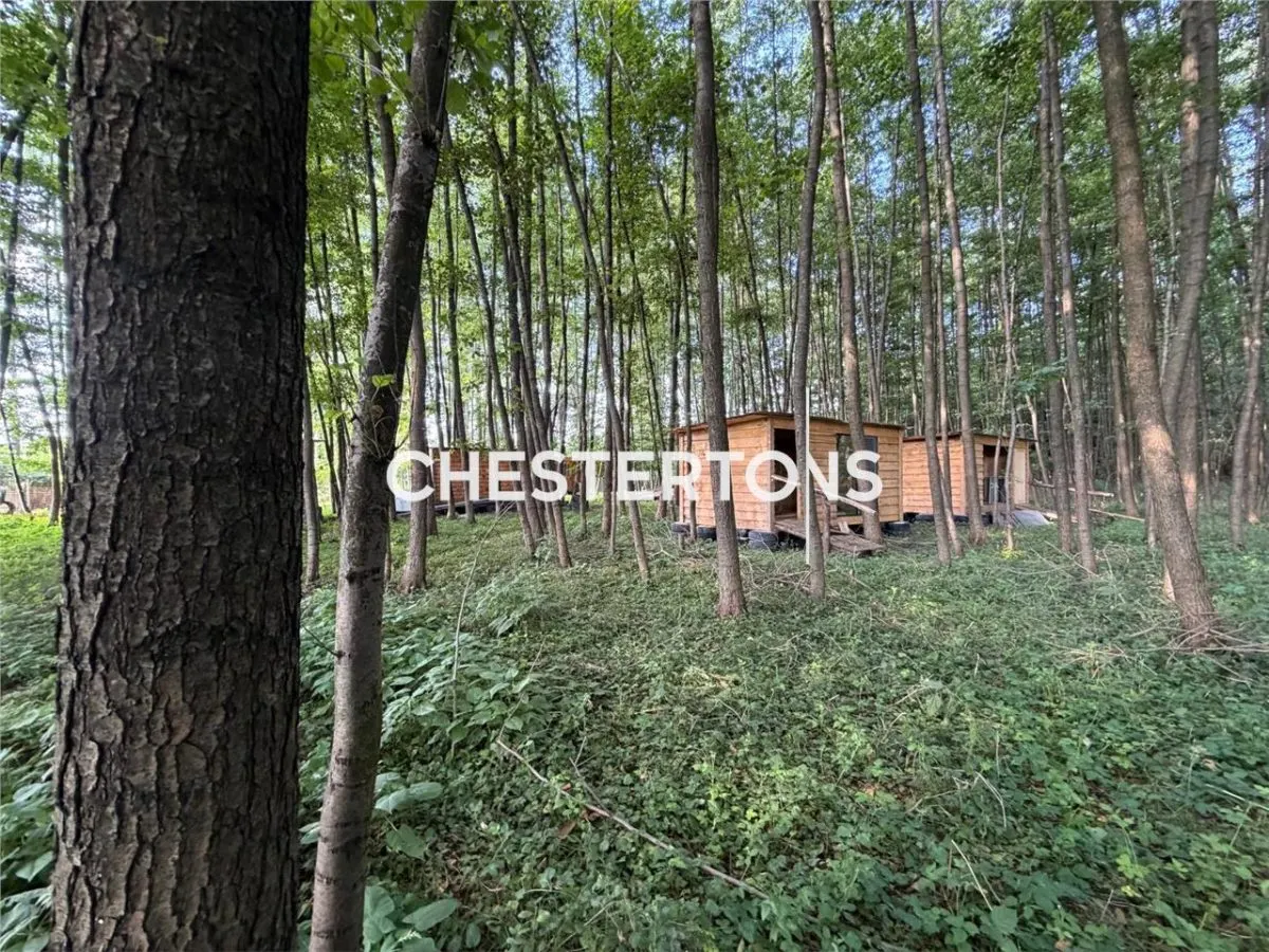11,900 sqm Urban Land in Arges, Romania - foto 18
