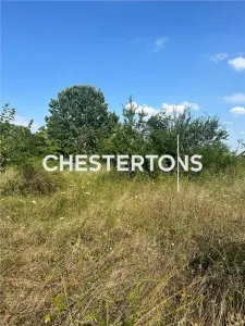 Development Land for Sale - Ordoreanu | 2,760 sqm | 39.5m Frontage | €50/sqm - foto 2