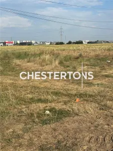 Plot for Sale – Domnesti | 1,761 sqm | 40m Frontage | All Utilities - foto 4