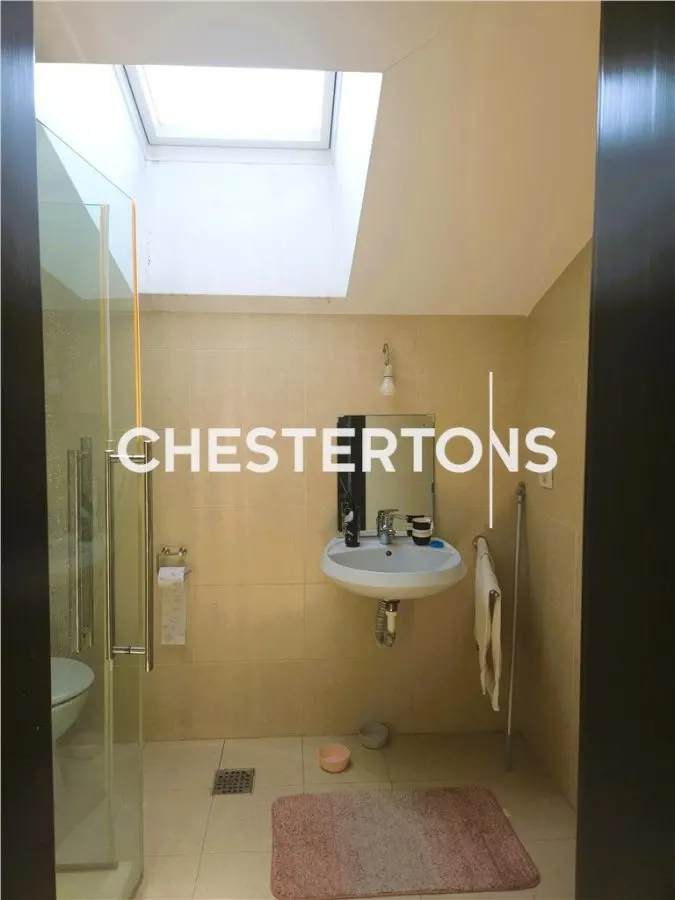 House / villa for sale 235 sqm in Bucuresti, Domenii area - foto 20