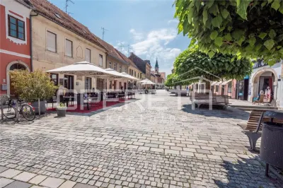 Apartament de vanzare in Croatia, Varazdin - foto 16