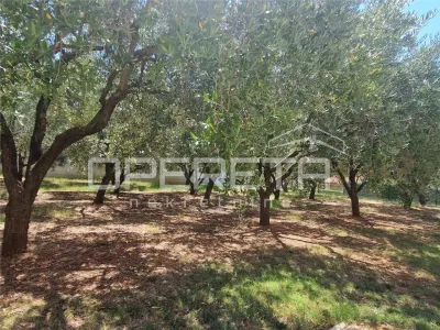 Multi-apartment Villa for Sale in Galizana, Istria, Croatia - foto 4