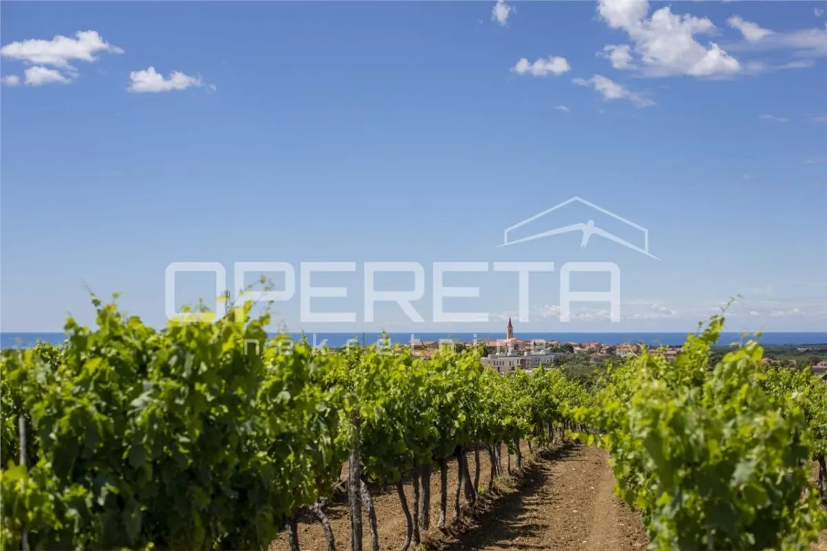 Luxury Villa for Sale in Brtonigla, Istria, Croatia - foto 3