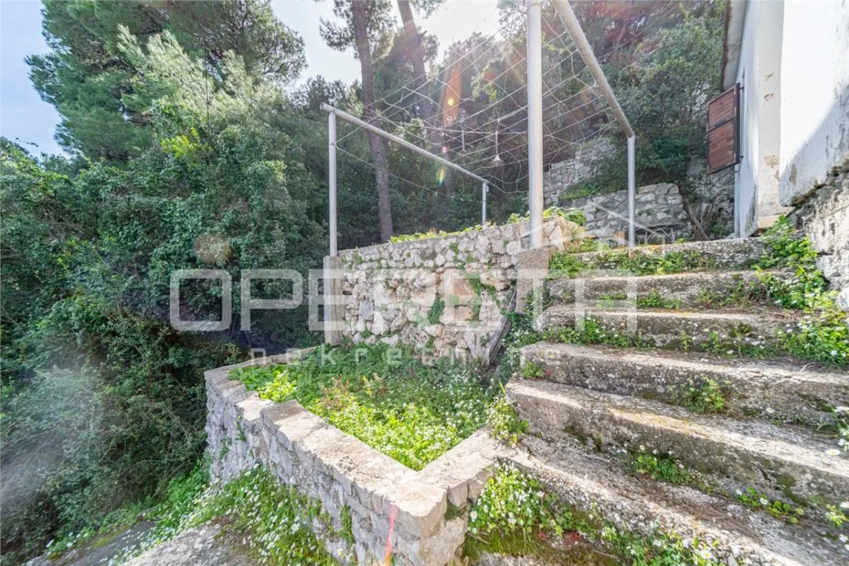 Waterfront Villa for Sale in Babino Polje, Island of Mljet, Croatia - foto 20