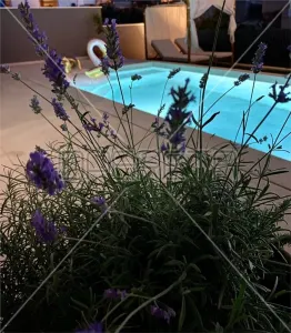 Casa vila de vanzare in Croatia, Makarska - foto 6
