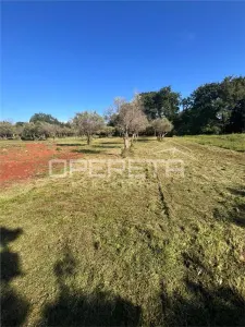 Villa for Sale in Brtonigla, Croatia - foto 21