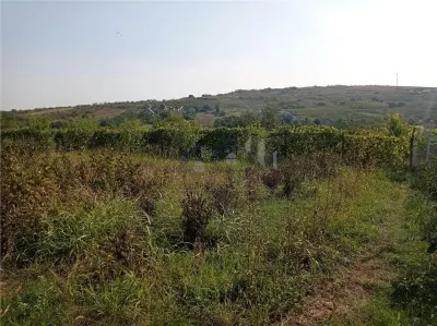 Tomesti - Cabana din lemn si Teren 1008mp intravilan - foto 5