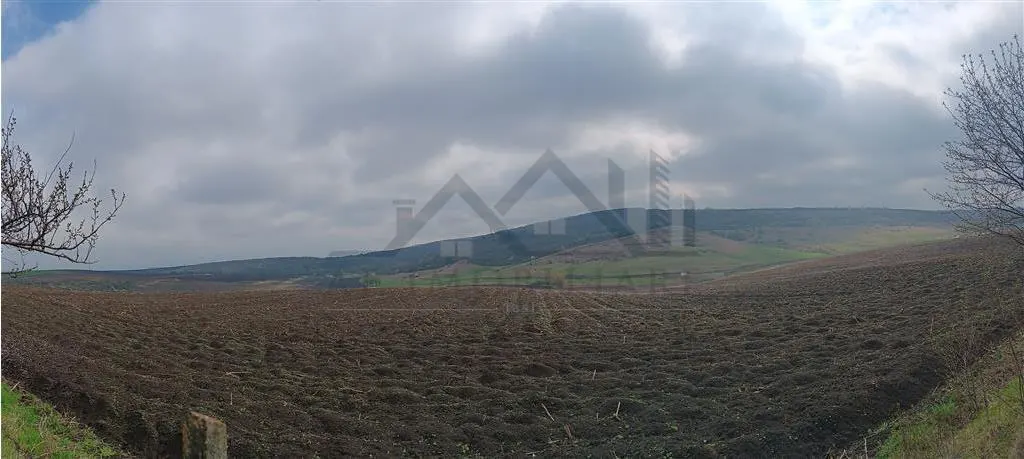 Aroneanu - Dorobant TEREN 46000mp PUZ realizat 59 de case la str principala cu toate utilitatile - foto 8