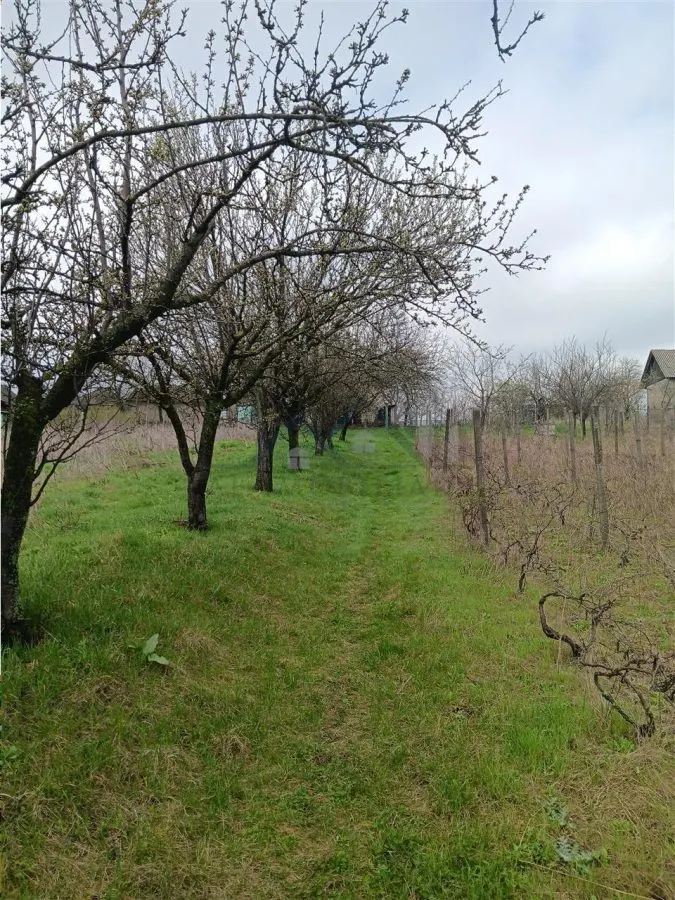 Aroneanu - Dorobant TEREN 46000mp PUZ realizat 59 de case la str principala cu toate utilitatile - foto 9
