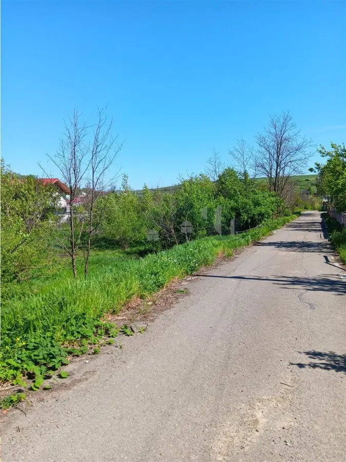 Doar 27e/mp! Vorovesti TEREN 1787mp toate utilitatile cu acces doua strazi asfaltate - foto 3