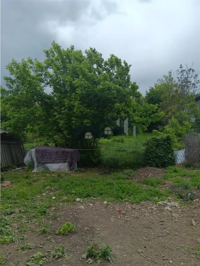 Ciurbesti Casa batraneasca cu TEREN 1347mp - foto 3