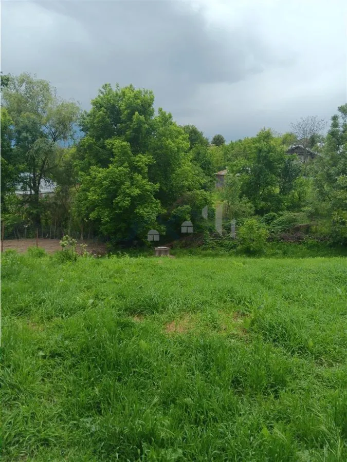 Ciurbesti Casa batraneasca cu TEREN 1347mp - foto 6