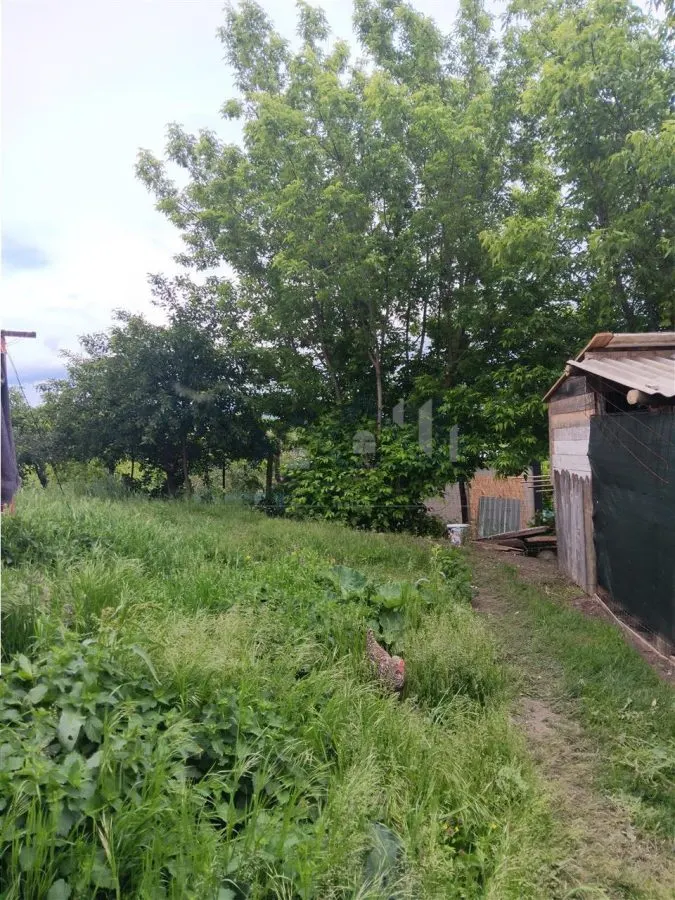 Ciurbesti Casa batraneasca cu TEREN 1347mp - foto 7